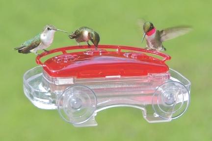 High Perch Window Hummingbird feeder