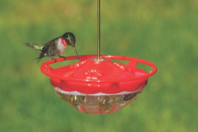 High Perch Mini Hummingbird feeder