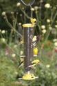 Aspects_QCFinch_002
